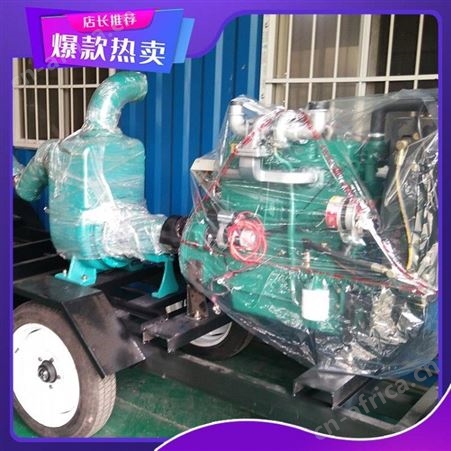 河南许昌柴油防汛泵防汛排涝泵发货