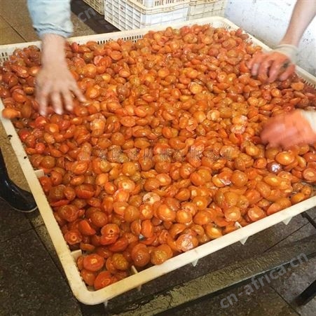 隆泽金桔抽真空浸糖锅 柚子皮浸糖可倾式设备 蒸汽式柿饼蜜饯浸糖锅