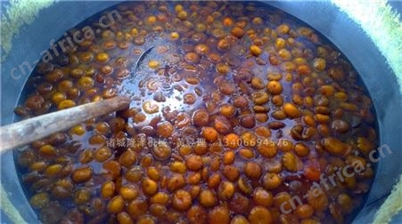 果干蜜饯浸糖渗糖锅快速吃糖机 山楂大枣草莓青梅芒果李子杏脯蜜饯加工设备