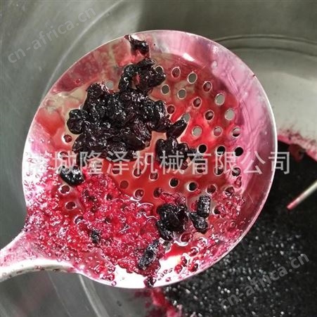大型蜜饯果脯加工机器 不锈钢渗糖锅 蜜枣草莓干芒果干加工设备