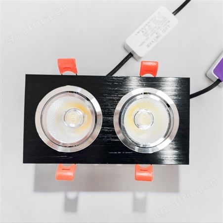 盖香云LED双头斗胆灯吊顶豆胆灯嵌入式天花灯双排斗胆灯COB款5W