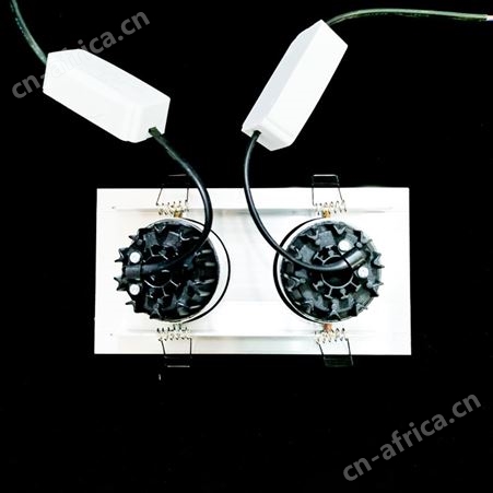 盖香云LED双头斗胆灯吊顶豆胆灯嵌入式天花灯双排斗胆灯COB款5W