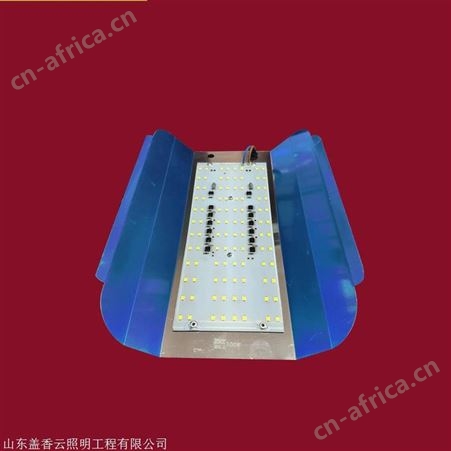 盖香云 LED碘钨灯超亮工作灯 户外防水工程用50W/100W