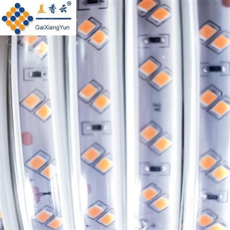 盖香云36V低压LED灯带暖光10mm斜双排2835-120D-带桥堆透镜款