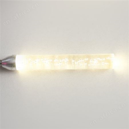 盖香云LED亚克力棒10-30公分长气泡芦苇灯户外防水亮化装饰灯12V