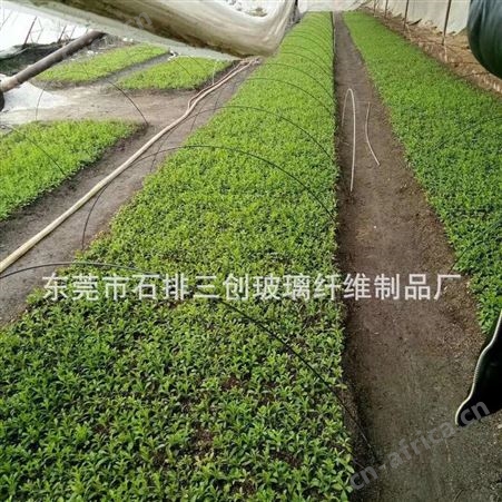 厂家生产批发农业植物支撑杆 小拱棚纤维棒 盆景支柱价格实惠