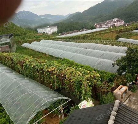 支撑杆 拱棚 葡萄架 苗木支撑 农用杆 高强度抗老化