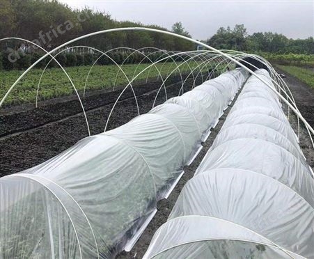 支撑杆 拱棚 葡萄架 苗木支撑 农用杆 高强度抗老化