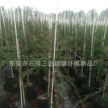 厂家生产批发农业植物支撑杆 小拱棚纤维棒 盆景支柱价格实惠