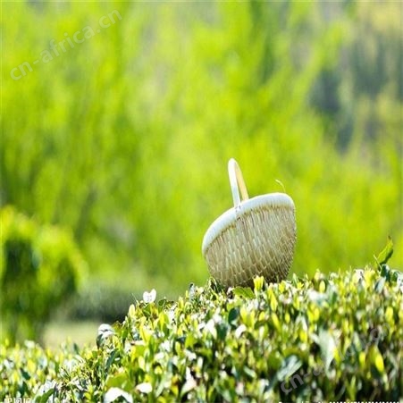 进口茶叶，日本茶叶进口，进口茶叶中文标签