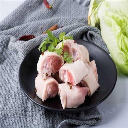 肉类进口_猪蹄进口报关_进口猪蹄清关公司_进口清关_欧洲肉类食品进口海运