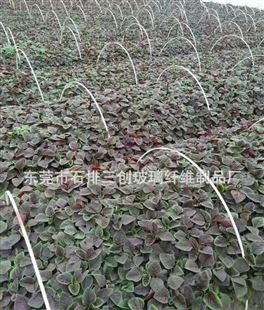 厂家生产批发农业植物支撑杆 小拱棚纤维棒 盆景支柱价格实惠