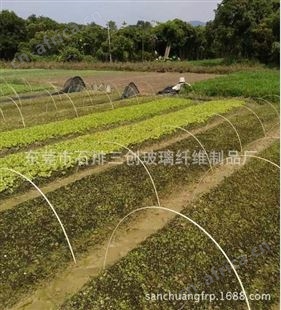 厂家生产批发农业植物支撑杆 小拱棚纤维棒 盆景支柱价格实惠