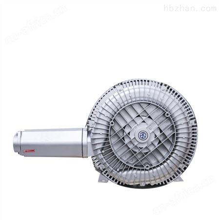 20KW双叶轮漩涡气泵