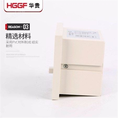 带自检验电带电显示器_华贵电气_带电显示器_生产商出售