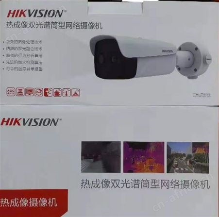 温度异常请复核智能人体测温双光筒机海康威视DS-TB2617-3/QA