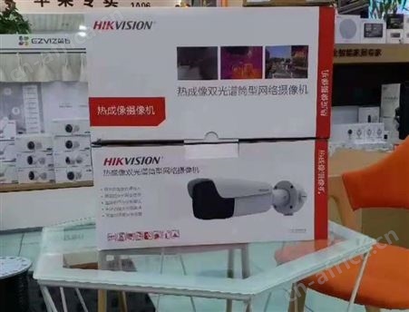 温度异常请复核智能人体测温双光筒机海康威视DS-TB2617-3/QA