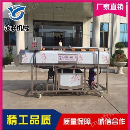 直供椰子表面去泥清洗机 椰子喷淋清洗机 椰子清洗加工成套设备