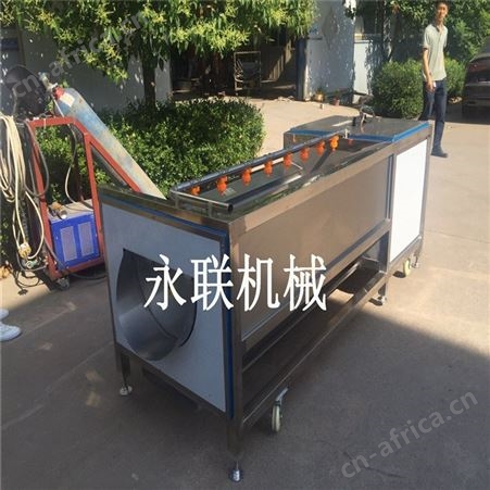 红薯全自动去皮清洗机 胡萝卜去皮清洗机 番薯毛辊去皮清洗机器