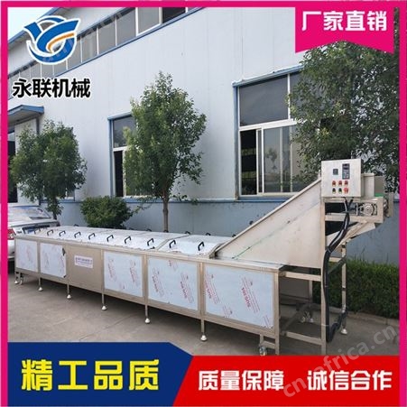 鸡枞菌漂烫机 菌菇类清洗漂烫机 蔬菜清洗加工线