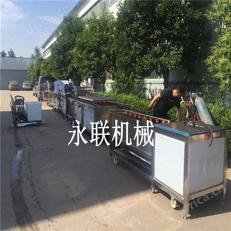 红薯全自动去皮清洗机 胡萝卜去皮清洗机 番薯毛辊去皮清洗机器