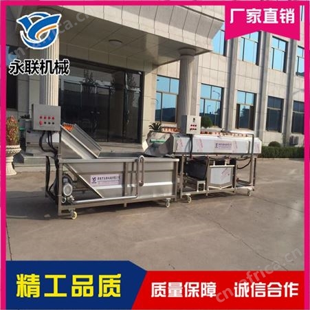 直供椰子表面去泥清洗机 椰子喷淋清洗机 椰子清洗加工成套设备