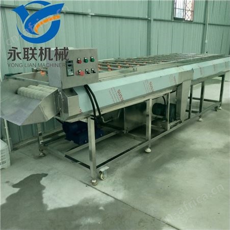 专业生产扇贝清洗机 海蛎子毛刷清洗机 贝类专业清洗设备