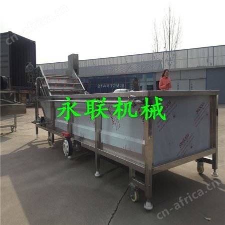 水果蔬菜滑子菇清洗机 大枣清洗机 豆芽菜气泡清洗机
