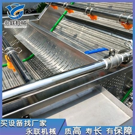 抱儿菜全自动气泡清洗机 牛皮菜连续式喷淋清洗机