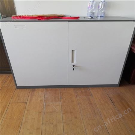钢制文件柜 旭峰家具 员工带锁储物柜 文件柜价格