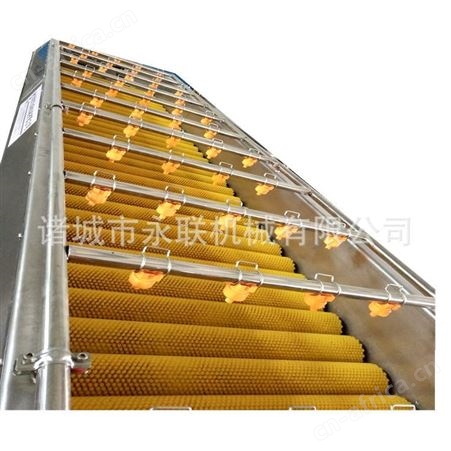 尖尖笋气泡清洗机 叶菜类蔬菜喷淋式清洗机