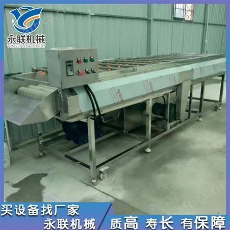 土豆红薯去皮清洗机 海蛎子毛刷清洗机 胡萝卜去皮冲洗机
