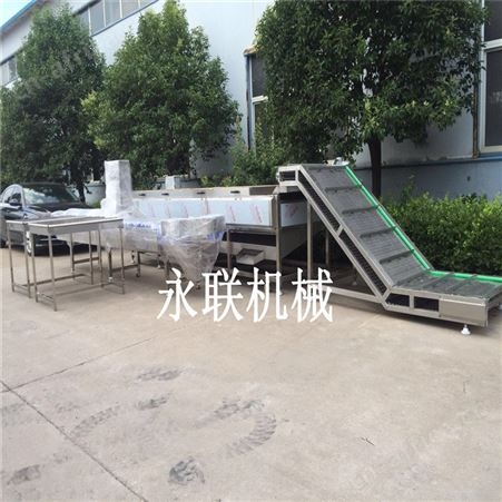 永联全自动生蚝毛辊清洗机设备 全壳生蚝去泥清洗设备