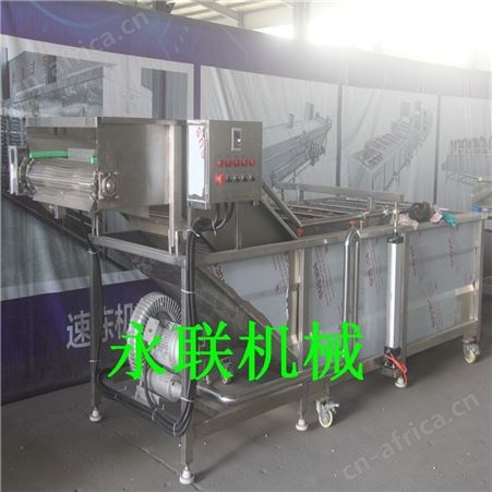 土豆片气泡清洗机 莲藕鼓泡清洗机 自动清洗去淀粉果蔬加工设备
