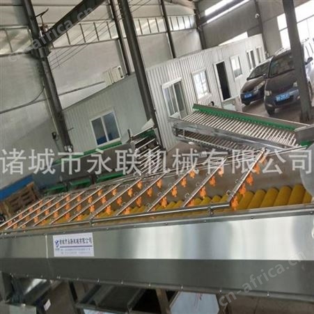 尖尖笋气泡清洗机 叶菜类蔬菜喷淋式清洗机
