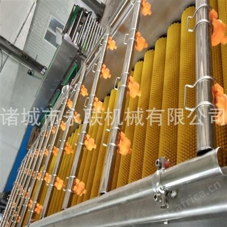 尖尖笋气泡清洗机 叶菜类蔬菜喷淋式清洗机