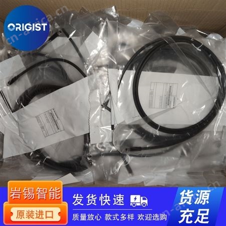 WIDAP电阻器GWG110-2R