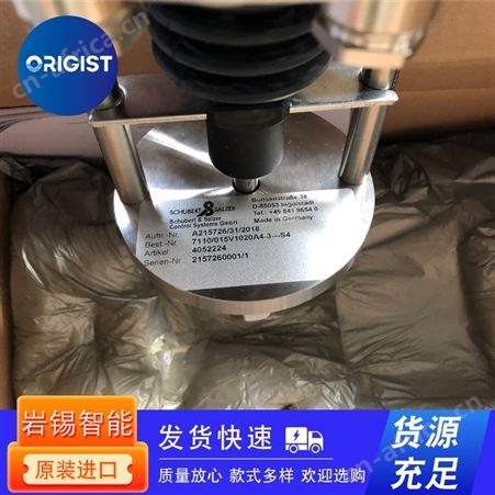 LESER安全阀TYP:4834.7704