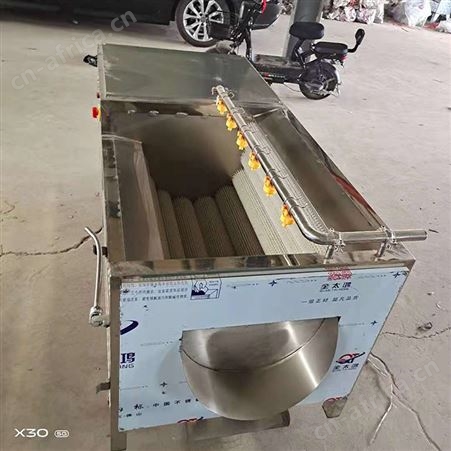 腾拓 土豆清洗机 红薯清洗脱皮机 洗土豆的机器 120型