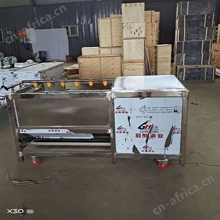 腾拓 土豆清洗机 红薯清洗脱皮机 洗土豆的机器 120型