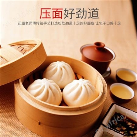 腾拓 供应 包子机 半自动小笼包机 一机多用 现货供应
