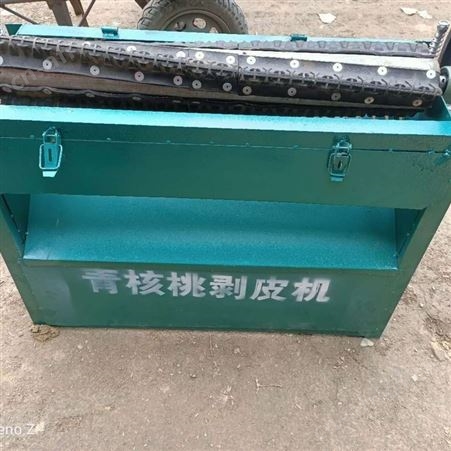 腾拓 青核桃去皮机 小型鲜核桃脱皮清洗一体机 全自动胡桃剥皮机