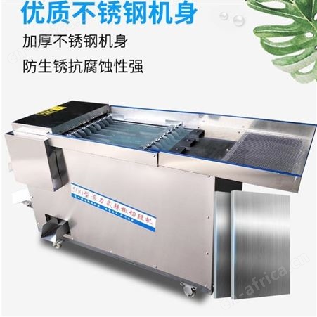 腾拓 供应 300型 500型辣椒切段机 商用辣椒切段机 配件