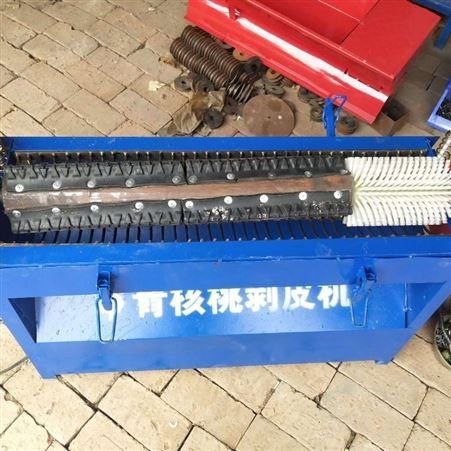 腾拓 青核桃去皮机 小型鲜核桃脱皮清洗一体机 全自动胡桃剥皮机