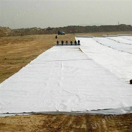 恒瑞通透水土工布黑色土工布厂家聚脂土工布厂家定制
