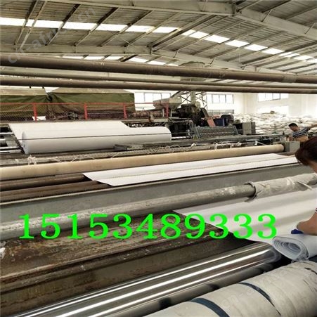 长丝土工布 针刺纺粘聚酯长丝土工布工程用长丝土工布