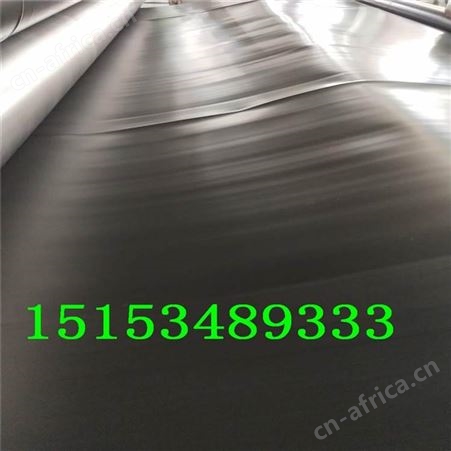 土工膜厂家供应hdpe土工膜 防渗隧道垃圾掩埋国标土工膜