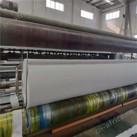 两布一膜复合土工膜400g 蓄水池防渗 防水土工布土工膜
