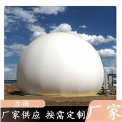 柔性双膜气柜 沼气储存设备 力扬沼气工程配套设备 支持定制