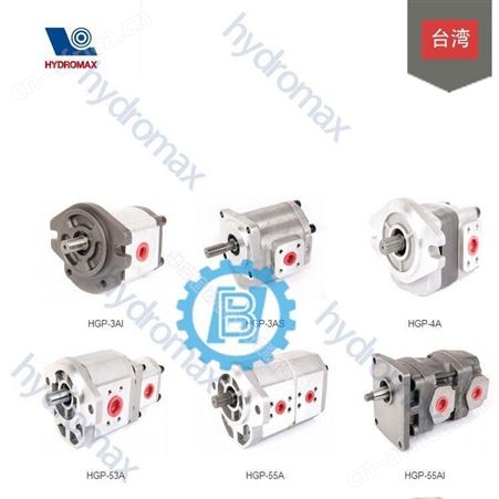 中国台湾新鸿 同步马达 DFM-302A-30-10 代理商